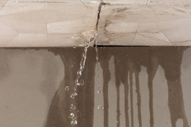 Professional Flood Damage Cleanup technician working in Elgin, IL